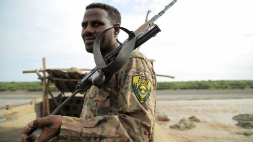 FILE PHOTO: An Amhara Special Force member stands guard on Ethiopia-Eritrean border near in Humera ...