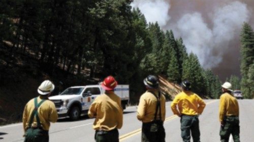 Firefighters watch plumes of smoke from wind-driven fires that closed highway 89 temporarily at the ...