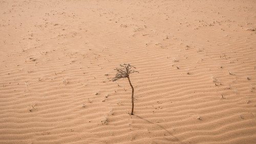 The desert landscape is pictured along the road from Tidjikja to Tichitt in Mauritania on January ...