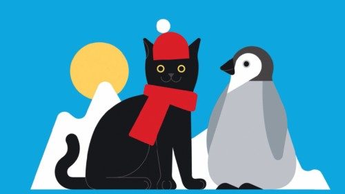 Il gatto che racconta la cultura della cura QUO-208 Il gatto che racconta la cultura della cura QUO-208
