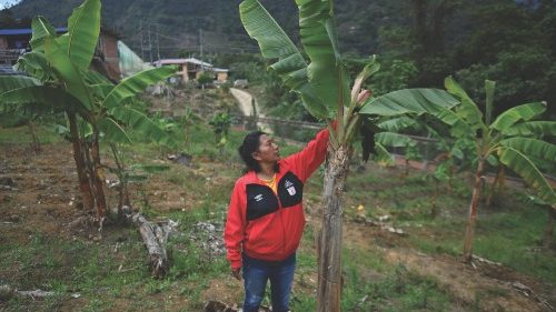 Colombian indigenous environmentalist Celia Umenza, 48, touches a tree in Tacueyo, department of ...