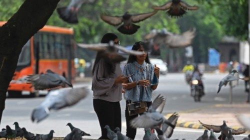 Women stand beside pigeons sitting on a road junction in New Delhi on September 12, 2021. (Photo by ...