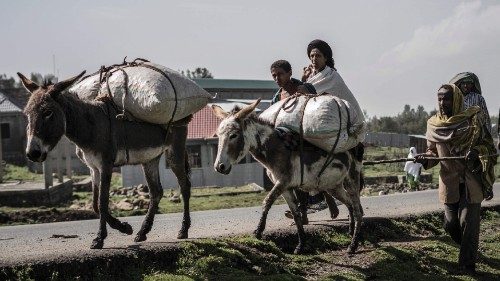 Villagers walk along their donkeys in Dabat, 70 kilometres Northeast of the city of Gondar, ...