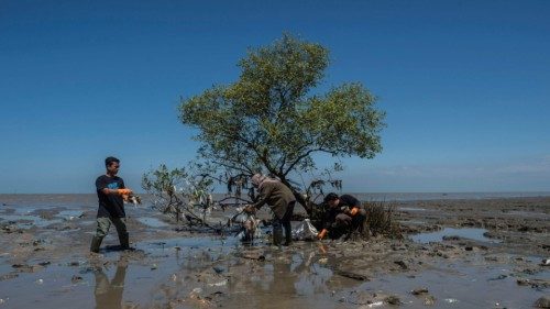 TOPSHOT - Volunteers from the Ecological Observation and Wetlands Conservation (ECOTON) collect ...