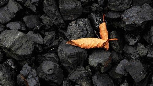 FILE PHOTO: FILE PHOTO: A leaf sits on top of a pile of coal in Youngstown, Ohio, U.S., September ...
