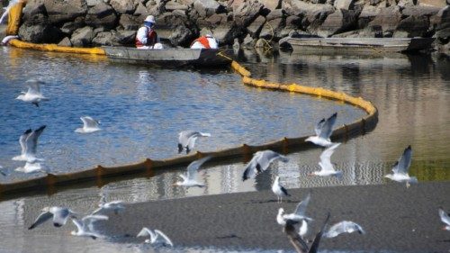 A clean-up team works on clearing the oil slicks at the Talbert Channel after a major oil spill off ...