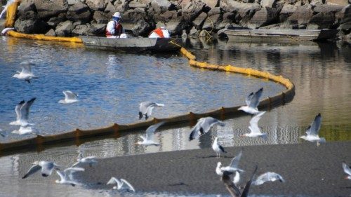 A clean-up team works on clearing the oil slicks at the Talbert Channel after a major oil spill off ... A clean-up team works on clearing the oil slicks at the Talbert Channel after a major oil spill off ...