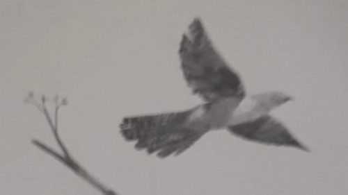 cq5dam.thumbnail.cropped.500.281.jpeg