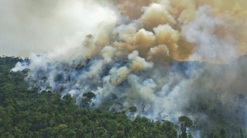 TOPSHOT - Aerial view of a burning area of Amazon rainforest reserve, south of Novo Progresso in ...