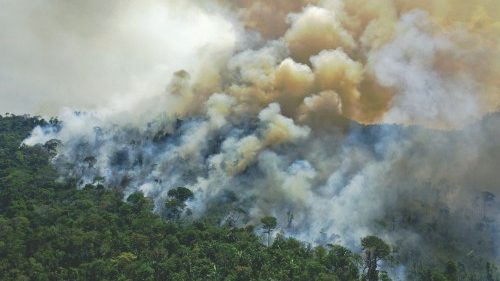 TOPSHOT - Aerial view of a burning area of Amazon rainforest reserve, south of Novo Progresso in ... TOPSHOT - Aerial view of a burning area of Amazon rainforest reserve, south of Novo Progresso in ...