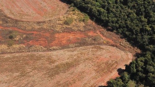 An aerial view shows deforestation near a forest on the border between Amazonia and Cerrado in Nova ...