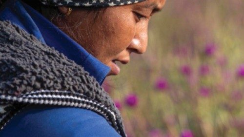 epa09550196 A Nepalese woman collects globe amaranth flowers, the typical flower for Diwali, also ...