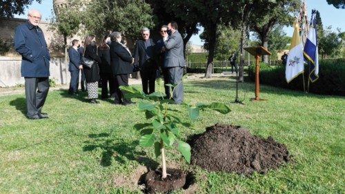 Giardini Vaticani :Piantumazione albero di El Salvador 28-10-2021 Giardini Vaticani :Piantumazione albero di El Salvador 28-10-2021