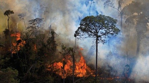 (FILES) In this file photo taken on August 15, 2020 smoke rises from an illegally lit fire in Amazon ...