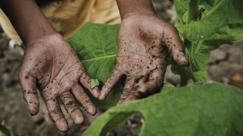  Un flagello che ferisce la dignità  e limita il futuro dei bambini  QUO-249