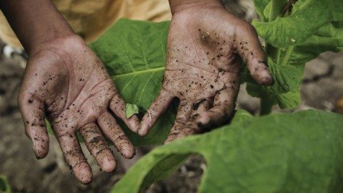  Un flagello  che ferisce la dignità  e limita  il futuro dei bambini  QUO-249