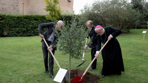 Giardini Vaticani - S.E. Mons. Paul Richard Gallagher :Piantumazione ulivo 22-10-2021 Giardini Vaticani - S.E. Mons. Paul Richard Gallagher :Piantumazione ulivo 22-10-2021