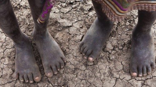  Le decisioni della Cop26 rispondano veramente al grido della Terra e dei poveri  QUO-258