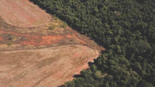 FILE PHOTO: An aerial view shows deforestation near a forest on the border between Amazonia and ...