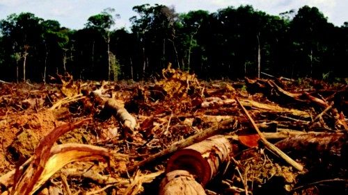  Deforestazione in aumento in Amazzonia  QUO-001