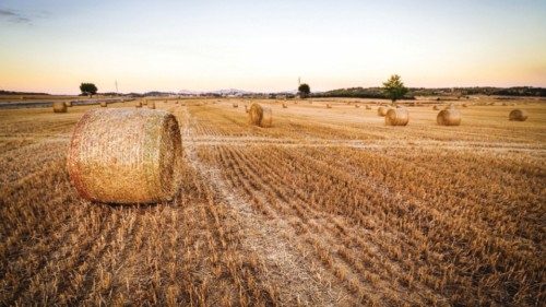 Sulle terre coltivabili siamo al punto di rottura QUO-283 Sulle terre coltivabili siamo al punto di rottura QUO-283