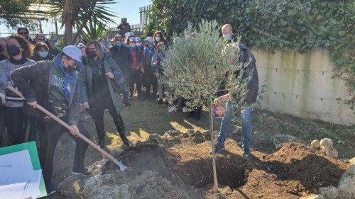  Un albero per ricordare  Un albero per  prendersi cura  QUO-289