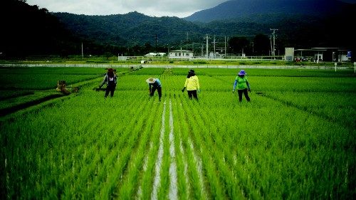 To go with Philippines-China-food-science-farming-rice-IRRI,FEATURE by Cecil MorellaIn this ...