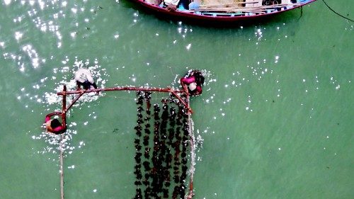 In this photograph taken on September 24, 2021, women work to cultivate fronds of seaweed on a ...