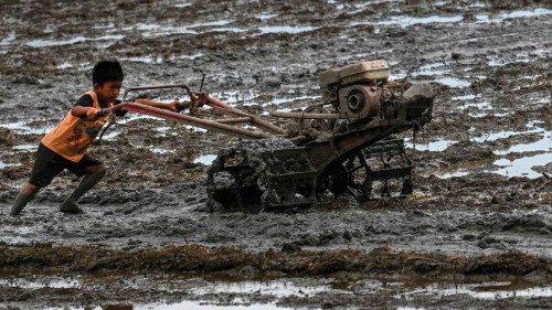 TOPSHOT - A child uses a hand tractor to plough a paddy field in Nisam, Northern Aceh province on ...