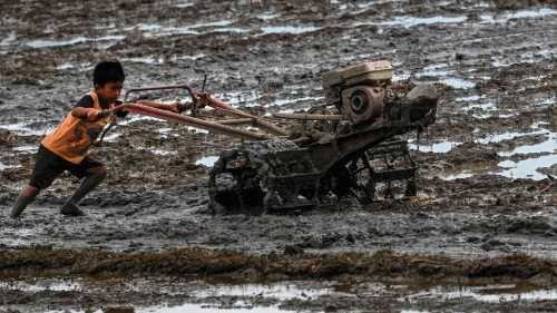 TOPSHOT - A child uses a hand tractor to plough a paddy field in Nisam, Northern Aceh province on ... TOPSHOT - A child uses a hand tractor to plough a paddy field in Nisam, Northern Aceh province on ...
