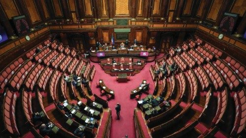 Question time in aula del Senato, Roma, 13 gennaio 2021.ANSA/ALESSANDRO DI MEO