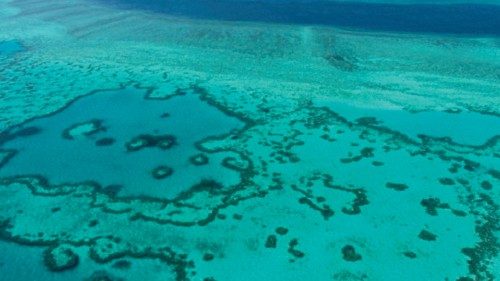  Nuovo allarme per la barriera corallina  QUO-026