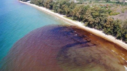 epa09715752 A handout photo made available by the Royal Thai Navy shows a crude oil spill leaked ...