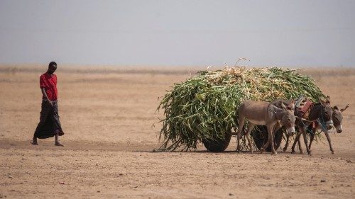 A man uses a donkey cart to transport animal fodder to drought affected areas in Higlo Kebele, ...