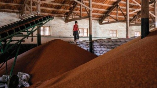 This photo taken on September 3, 2020 shows a man walking near piles of sorghum in a storage ...