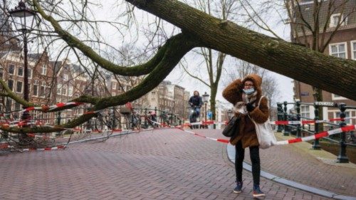A pedestrian walks past a fallen tree beside the side of a canal in Amsterdam on February 18, 2022, ...