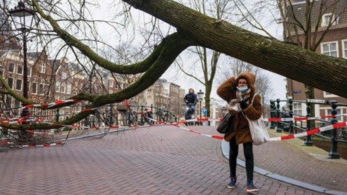 A pedestrian walks past a fallen tree beside the side of a canal in Amsterdam on February 18, 2022, ... A pedestrian walks past a fallen tree beside the side of a canal in Amsterdam on February 18, 2022, ...