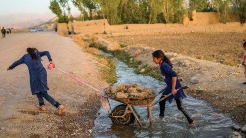 In this picture taken on October 3, 2021, girls push and pull a wheelbarrow near their village in ... In this picture taken on October 3, 2021, girls push and pull a wheelbarrow near their village in ...