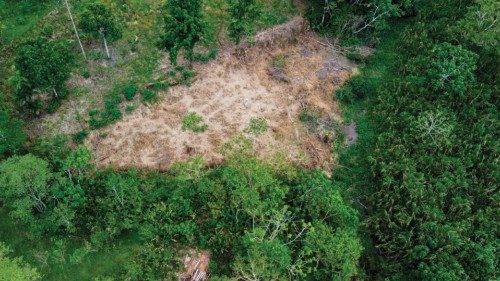 Aerial view of deforested area at the Amazon jungle of Puerto Asis rural area, department of ...