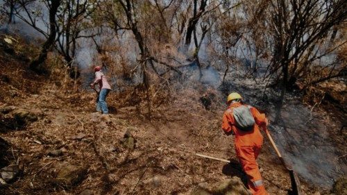 Brigade fighters work to extinguish a forest fire on Tepozteco hill, in Tepoztlan, Morelos state, ...