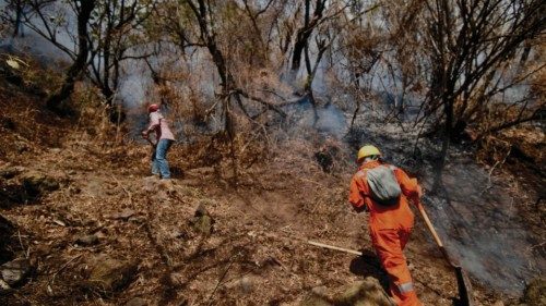 Brigade fighters work to extinguish a forest fire on Tepozteco hill, in Tepoztlan, Morelos state, ... Brigade fighters work to extinguish a forest fire on Tepozteco hill, in Tepoztlan, Morelos state, ...