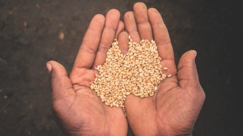  In Burkina Faso rincaro record per i cereali  QUO-081