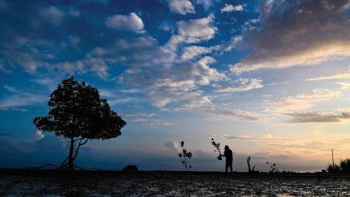 A man carry mangroves to plant at a beach on Earth Day at Pekan Bada, Indonesia's Aceh province on ...
