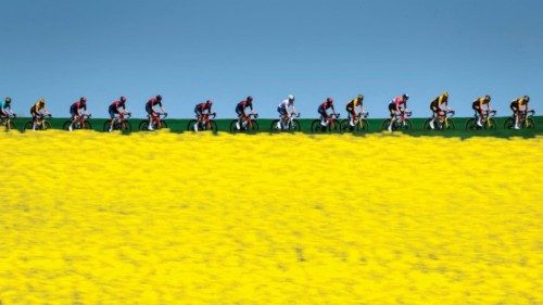 The pack rides past a rapeseed field during the third stage, from Echallens to Echallens, of the ... The pack rides past a rapeseed field during the third stage, from Echallens to Echallens, of the ...