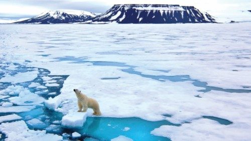 A lone polar bear poses on a block of arctic sea ice in Russia's Franz Josef Land.