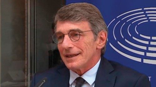 Giornalisti e comunicatori nel cammino sinodale QUO-116 Giornalisti e comunicatori nel cammino sinodale QUO-116