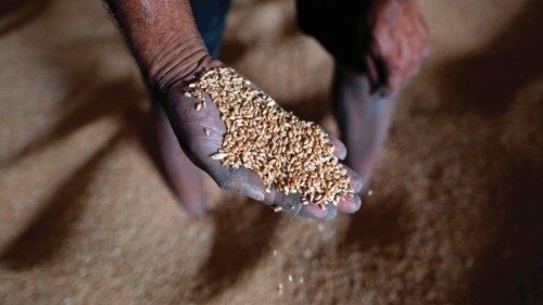 A worker displays grains of wheat inside a mill of refined wheat flour at Khanna in India's Punjab ...