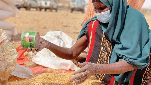FILE PHOTO: A woman collects grain at a camp for the Internally Displaced People in Adadle district ...