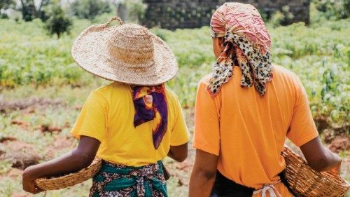  “Farm of Francesco”:  una rete mondiale di giovani per riconciliare agricoltura e ambiente  QUO-126 ...