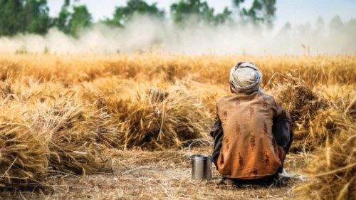  La crisi del grano, emergenza dalle conseguenze globali     QUO-127